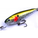 Leads Lure 3" Shad