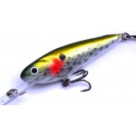 Leads Lure 3" Shad