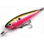 Leads Lure 3" Shad