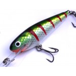 Leads Lure 3" Shad