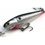 Leads Lure 3" Shad