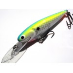 Leads Lure 3" Shad