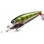 Leads Lure 3" Shad