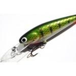 Leads Lure 3" Shad