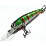 Leads Lure 3" Shad