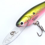 Leads Lure 3" Shad