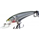 Leads Lure 4" Sardine Deep Diver