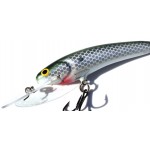 Leads Lure 4" Sardine Deep Diver