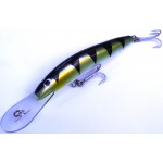 OLM - David Pearce - 120 mm Barra Deep