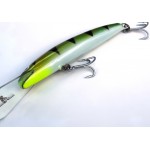 OLM - David Pearce - 120 mm Barra Deep