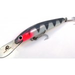 OLM - David Pearce - 120 mm Barra Deep