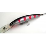 OLM - David Pearce - 120 mm Barra Deep