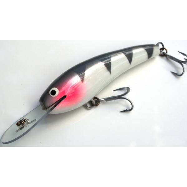 OLM - David Pearce - 105 mm Barra Deep