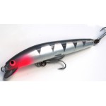 OLM - David Pearce - 120 mm Barra Shallow