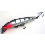 OLM - David Pearce - 120 mm Barra Shallow