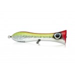 Immortal Popper Lure