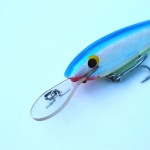 Twin River Lures 75mm Sard