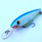 Twin River Lures 75mm Sard