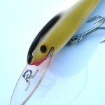 Twin River Lures 90mm Sard